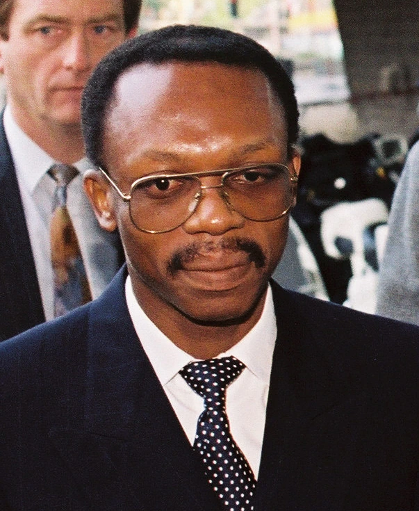 Jean-Bertrand Aristide Net Worth: How It Could Be Calculated