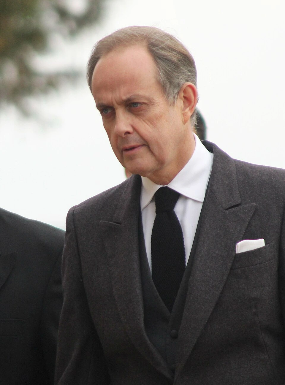 Prince of France Net Worth: Who It Is and How Much