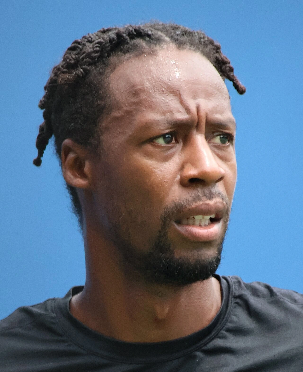 Gaël Monfils Net Worth: Estimate, Breakdown, and How to Verify